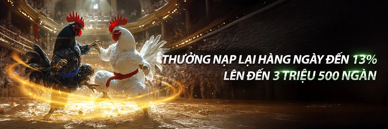 Các Sự Kiện Đá Gà Hấp Dẫn 2026 tại 123b