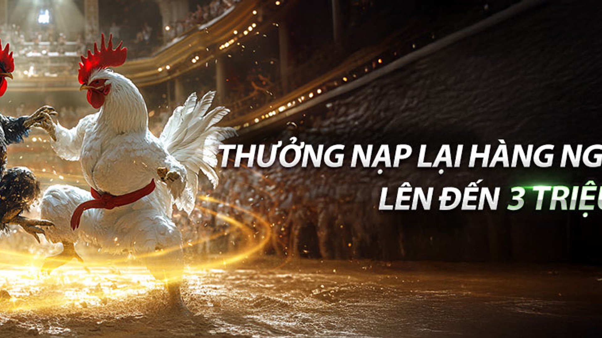 Tổng quan về đấu trường chọi gà trực tuyến 123b