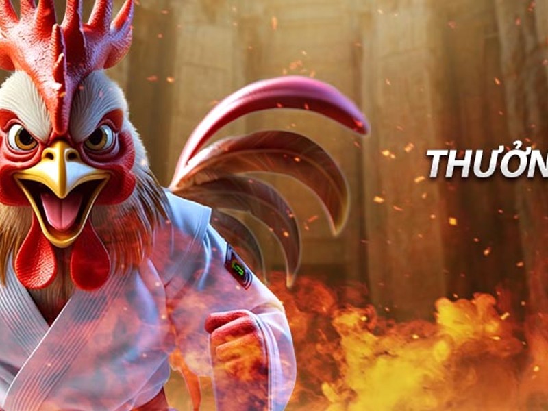 Gà chiến dũng mãnh