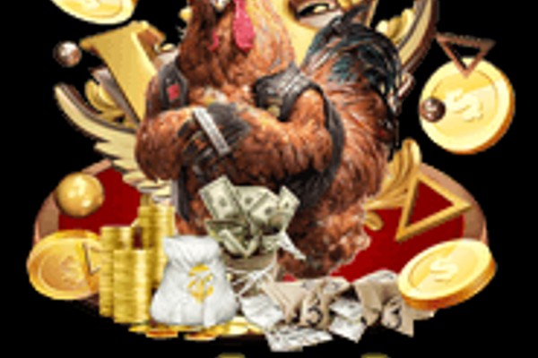 Biểu tượng túi tiền và tiền xu tượng trưng cho lợi ích hoàn trả tại 123b