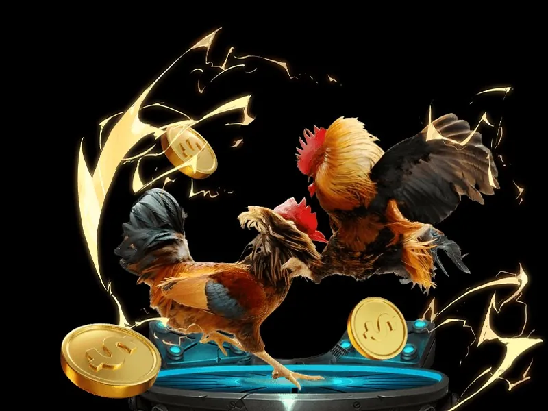 Hình ảnh trận đá gà trực tuyến sôi động